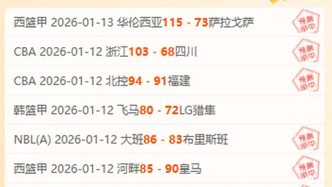 《太阳报》揭秘：贝林荣耀返乡，母亲爱侣同行抵达马德里