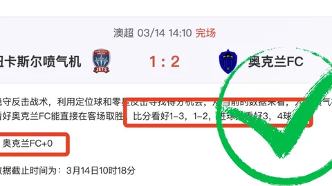 新疆男篮赵睿违规被CBA官方处罚：停赛5场罚金10万